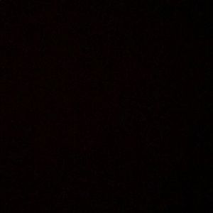 Meet your Posher, Cody